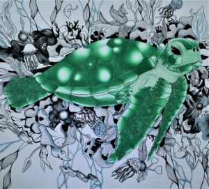 Machins trucs chouettes - Anne dessin tortue de mer verte, animaux de la mer et végétation, traits fins noir et bleu